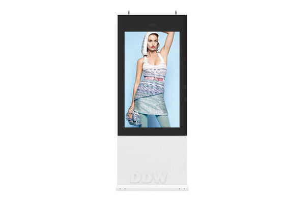 55 "IP65 1500cd LCD Reklama Digital Signage DDW-AD5501SNO